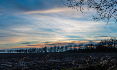 Kolorowe niebo o zachodzie słońca nad drzewami na farmie - obrazy, fototapety, plakaty