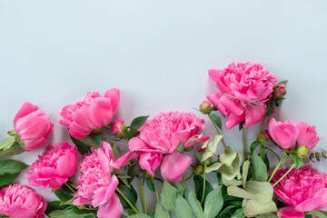 Bouquet of beautiful pink peonies on delicate paper background. Minimal concept backdrop.