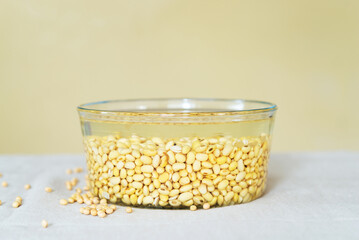 soaked soy bean or soya bean in a glass bowl on fabric background