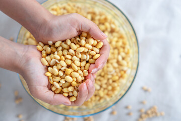 soybean in hand, soaked soybean in a glass bowl, soya bean soaking