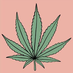 simplicity cannabis leaf freehand drawing flat design.