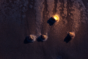 Creative mystic stock illustration with glowing shell on the beach at night. Fantasy art background...