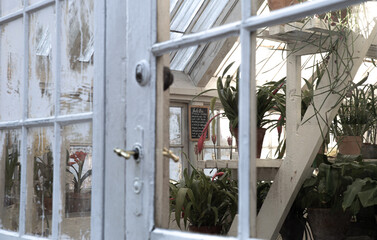 The beautiful old Danish greenhouse