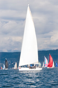 regata