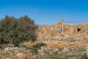 Thuburbo Majus large roman site in northern Tunisia