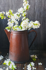 branches with cherry blossoms
