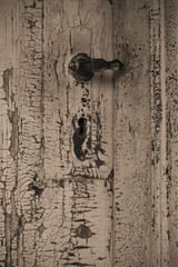 The beautiful old door