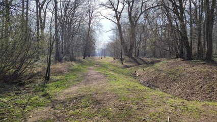 Oberwald Karlsruhe Durlach