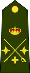 Shoulder pad mark for the LIEUTENANT GENERAL insignia rank in the Spanish Army