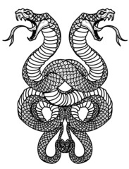 Tattoo art snake hand drawing and sketch