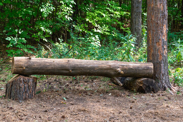 Log bench in the park.