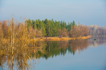 Fototapeta na wymiar Forest and river in autumn day, panoramic landscape.