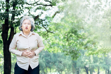 Naklejka premium Asian elderly woman is having a stomachache Due to Gastritis disease, with green trees background, to people and health care concept.