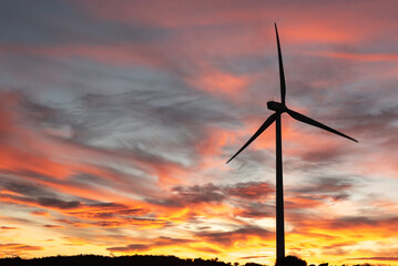 Construction of a wind farm