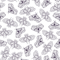 Bugs magic boho seamless vector flat graphic design illustration pattern