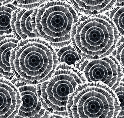 black and white spiral pattern 