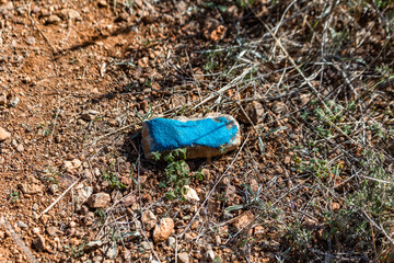 Fototapeta na wymiar blue painted rock on the ground
