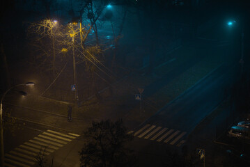 foggy road at night