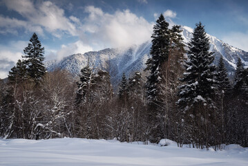 Fototapeta na wymiar Arkhyz mountains and winter forest. Russia. Karachay- Cherkessia. 