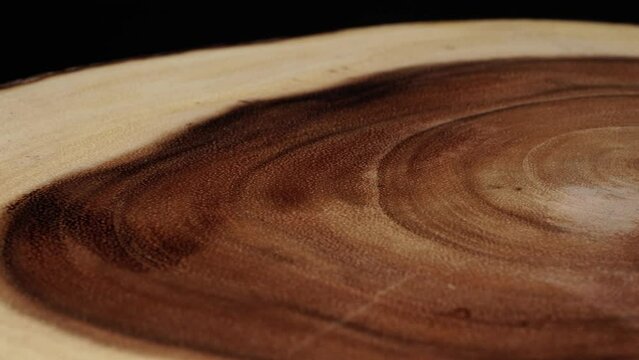 Cross section of the tree with age rings. Selective focus. Circular piece of wood cross section cut or saw cut tree trunk with texture pattern and age ring lines.