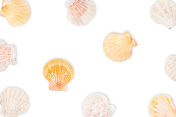 Sea pattern, top view, flat lay. Summer concept. Yellow sea shells pattern isolated on white background. High-quality photo