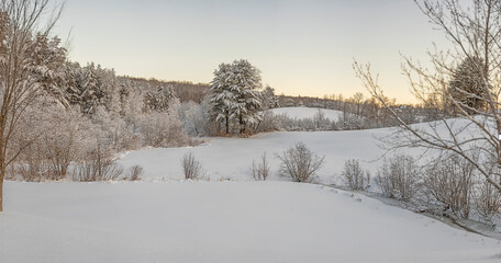 Snowy sunrise