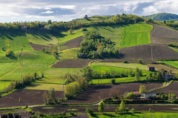 View of the cultivated Emilian hills, Italy. - obrazy, fototapety, plakaty