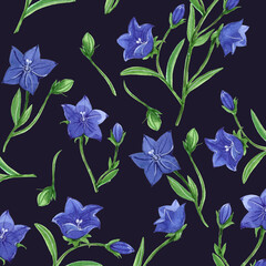 Watercolore seamless floral pattern with bluebell flowers on dark background.
