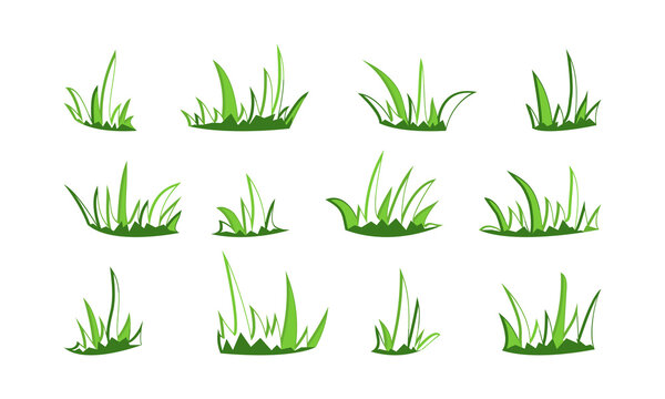 Grass sketch bush vector drawn set, outline doodle meadow and landscape, line scribble lawn isolated on white background. Nature illustration