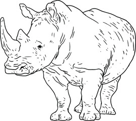 Obraz na płótnie Canvas rhino