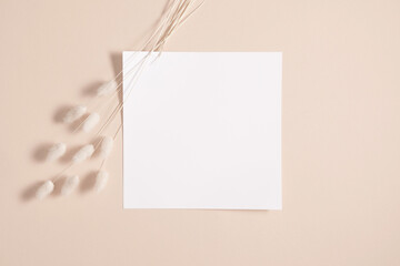 White paper empty blank, dry flowers, dried branch on beige background. Invitation card mockup on beige table. Flat lay, top view, copy space, mockup