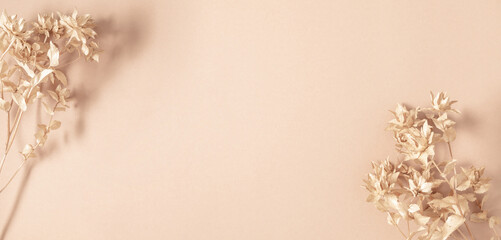 Dry flowers, dried branch on beige background. Flat lay, top view, copy space, mockup