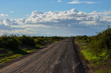 Natural landscape with road of kenya, Amboseli National Park, Kenya, Africa