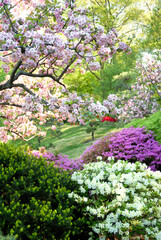 Obraz premium Beautiful garden scene with flowers and trees in bloom. Can be a portrait background or standalone image.