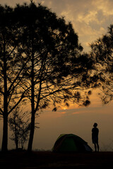 Silhouette of a man watching the sunrise under pine trees next to the tent