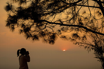 Silhouette of a woman taking a photo while sunrising under pine trees.