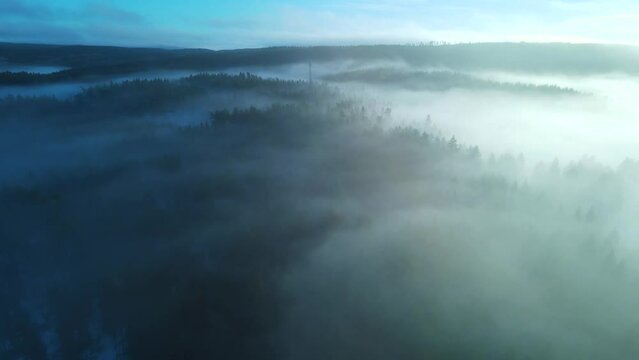 Foggy nature forest landscape with mist and sunset - drone pushback
