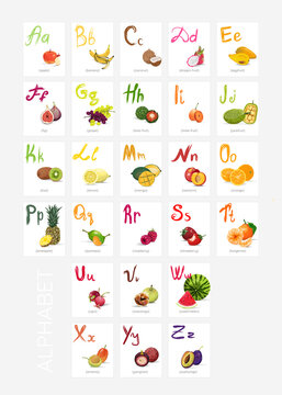 Alphabet with vector fruits on each card for word memorisation. Colourful educational material for primary school or kinder garden. Abc fruity learning