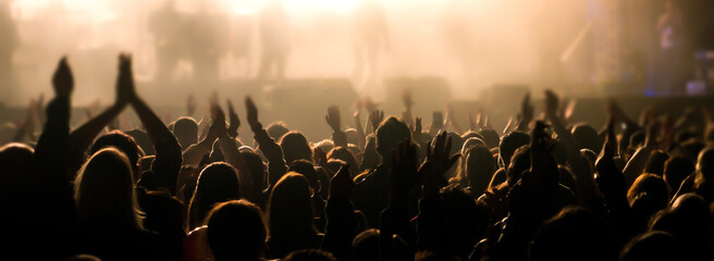 Crowd celebrating at party or concert - obrazy, fototapety, plakaty