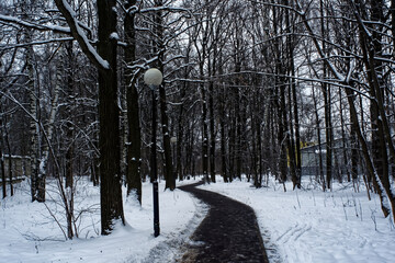 winter park on a cloudy day