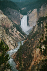 Yellowstone
