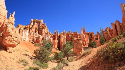 Bryce Canyon in Summer, Utah-USA