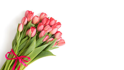 Bouquet of pink tulips with bow isolated on white background. Beautiful spring flowers. Valentines...