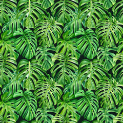 Palm leaves, monstera. Seamless pattern, jungle design