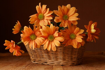 Background with flowers - beautiful orange chrysanthemums in the basket