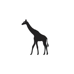 Giraffe icon