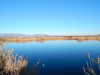 Blue Lake with Two Swans