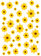 yellow flowers background