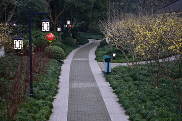 Path in Shanghai public park
