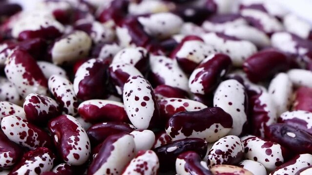  Red Anasazi Beans. Spotted beans.Kidney beans.Haricot beans. Vegetarian food. Healthy protein food